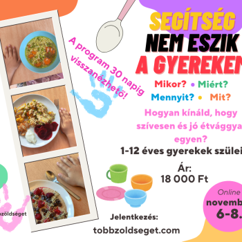 Segítség, nem eszik a gyerekem